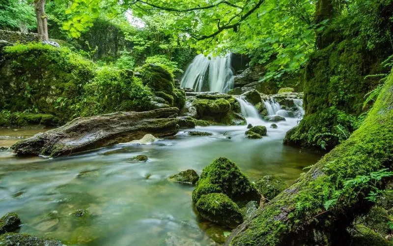 独特信息化高端